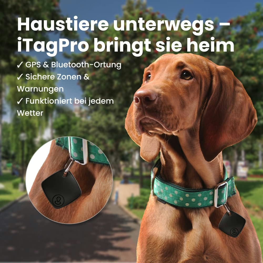 imgi_27_aVRhZ1Byb19HUFMtVHJhY2tlcl84X1RodW1ibmFpbC5qcGc.png